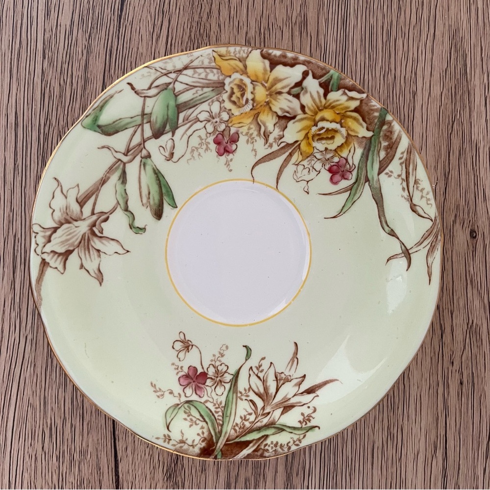 Rare Vintage Aynsley bone china teacup and saucer with Green Daffodils pattern - Picture 5 of 7
